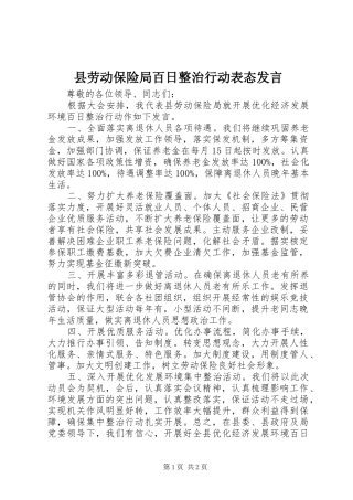 县劳动保险局百日整治行动表态发言
