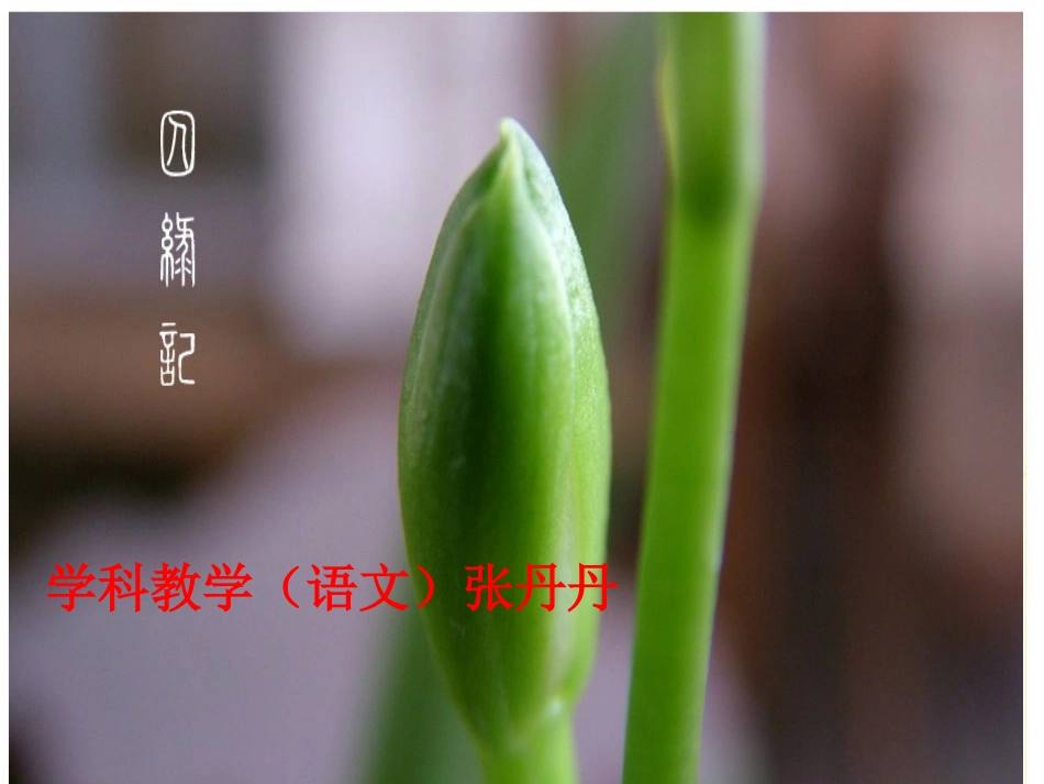 《囚绿记》公开课特等奖ppt_第1页