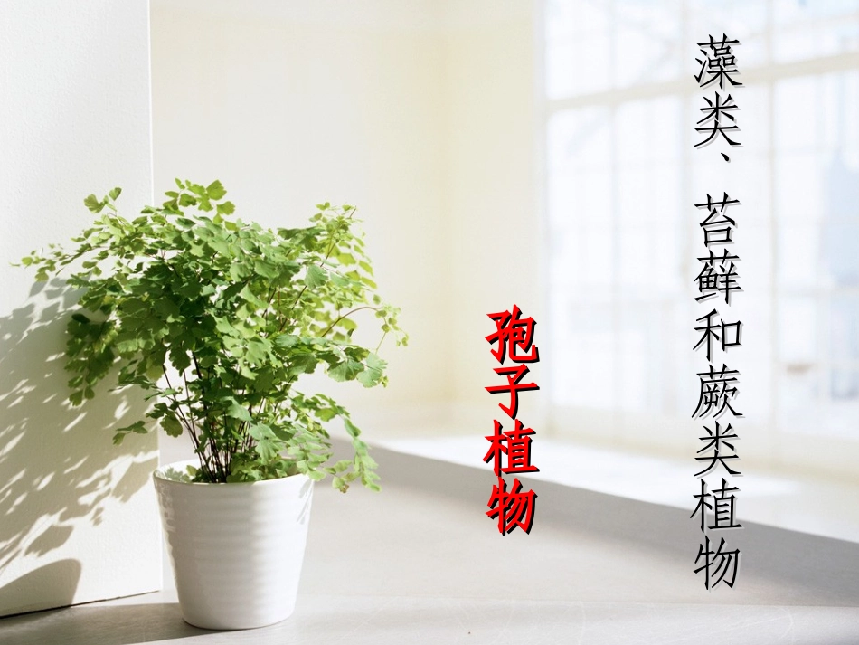 《藻类、苔藓和蕨类植物》PPT课件_第1页