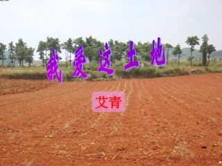 《我爱这土地》(艾青).ppt