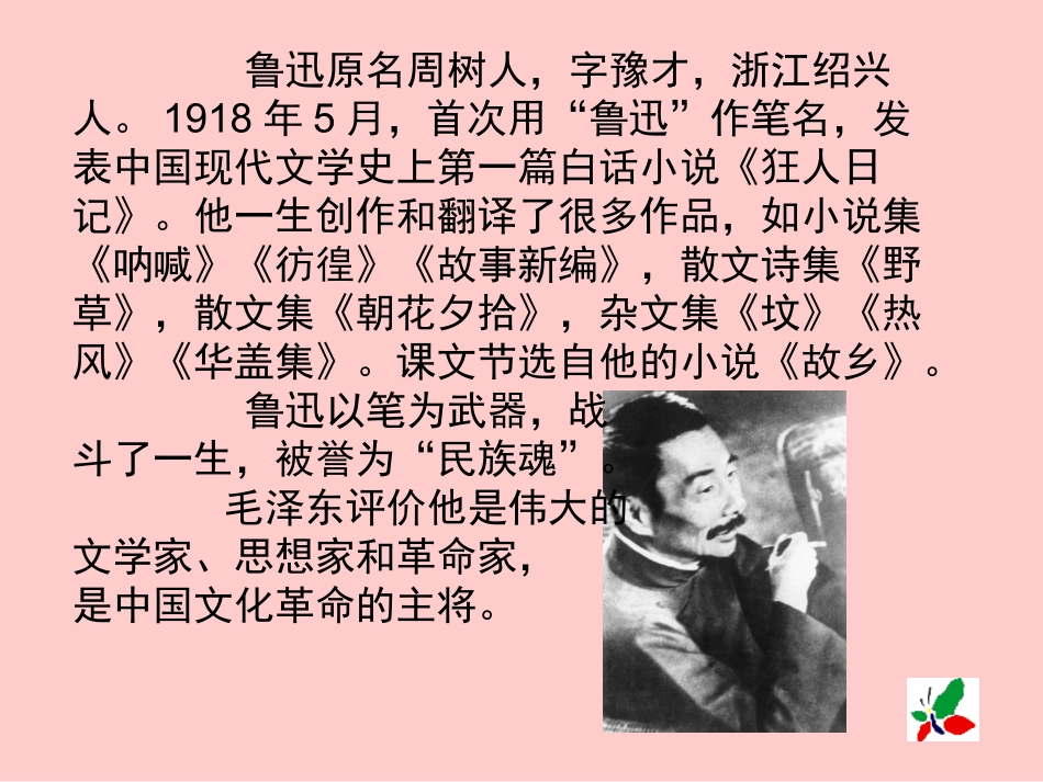 17、少年闰土完整版_第2页