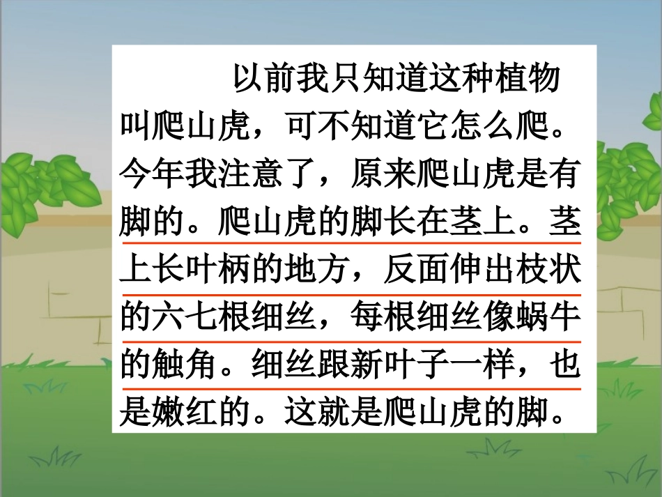 《爬山虎的脚》ppt课件第二课时_第3页