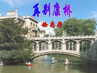 《再别康桥》参赛一等奖