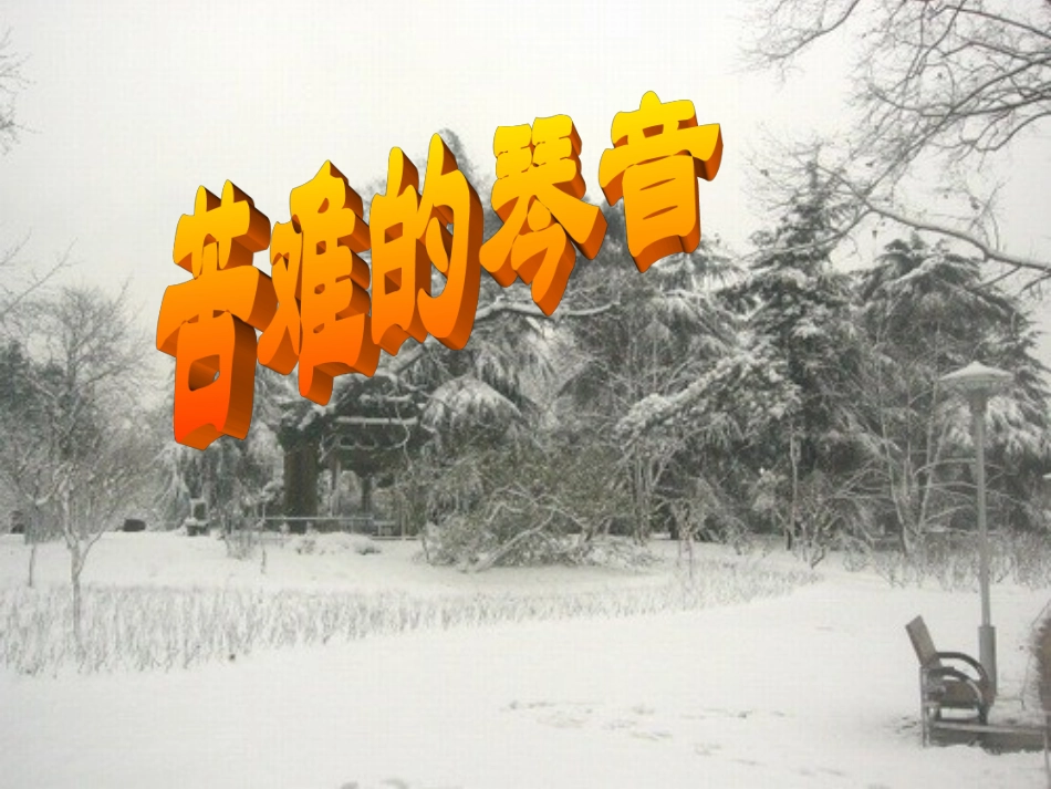 《雪落在中国的土地上》课件PPT_第2页