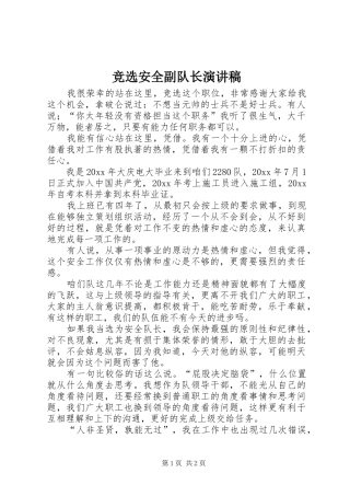 竞选安全副队长演讲稿