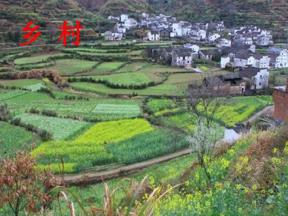 《场景歌》课件_第3页