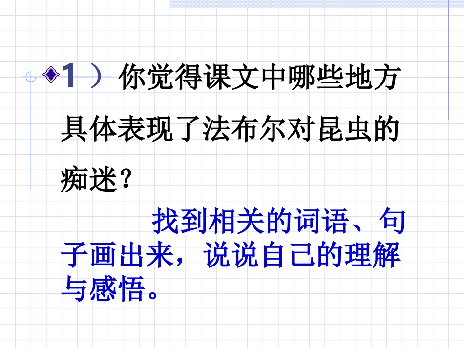装满昆虫的衣袋_第3页