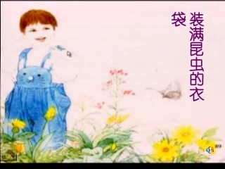 装满昆虫的衣袋