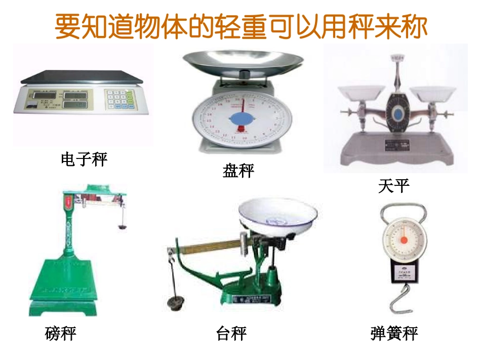 克和千克总复习_第2页