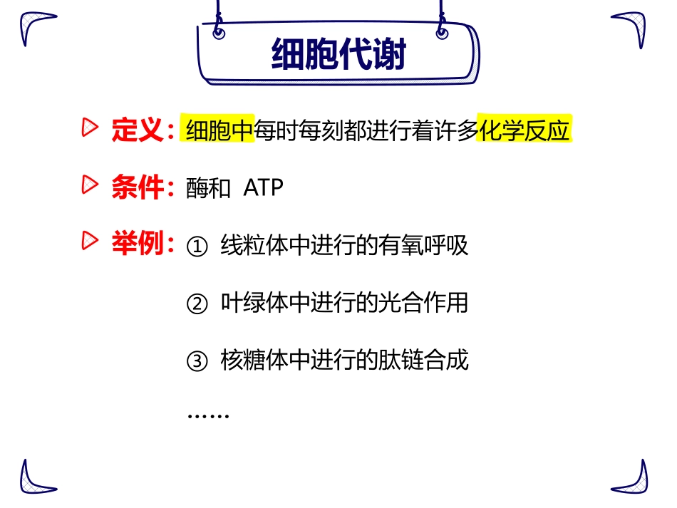 13 降低化学反应活化能的酶-1_第3页