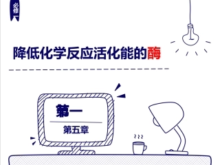 13 降低化学反应活化能的酶-1