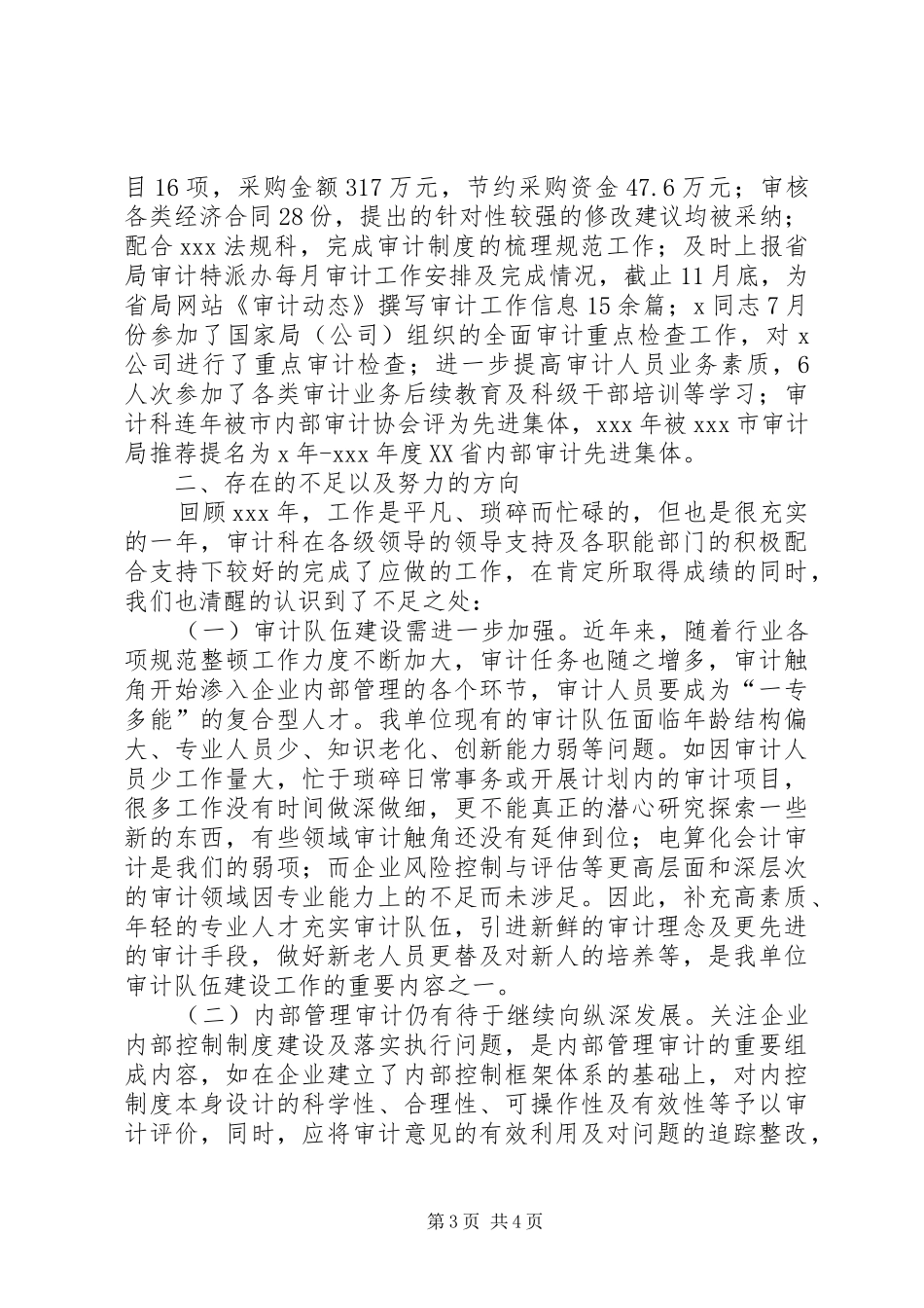 XX局（公司）XX年审计工作总结及XX年审计工作安排_第3页