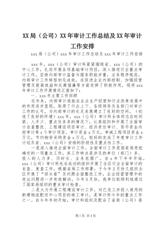 XX局（公司）XX年审计工作总结及XX年审计工作安排