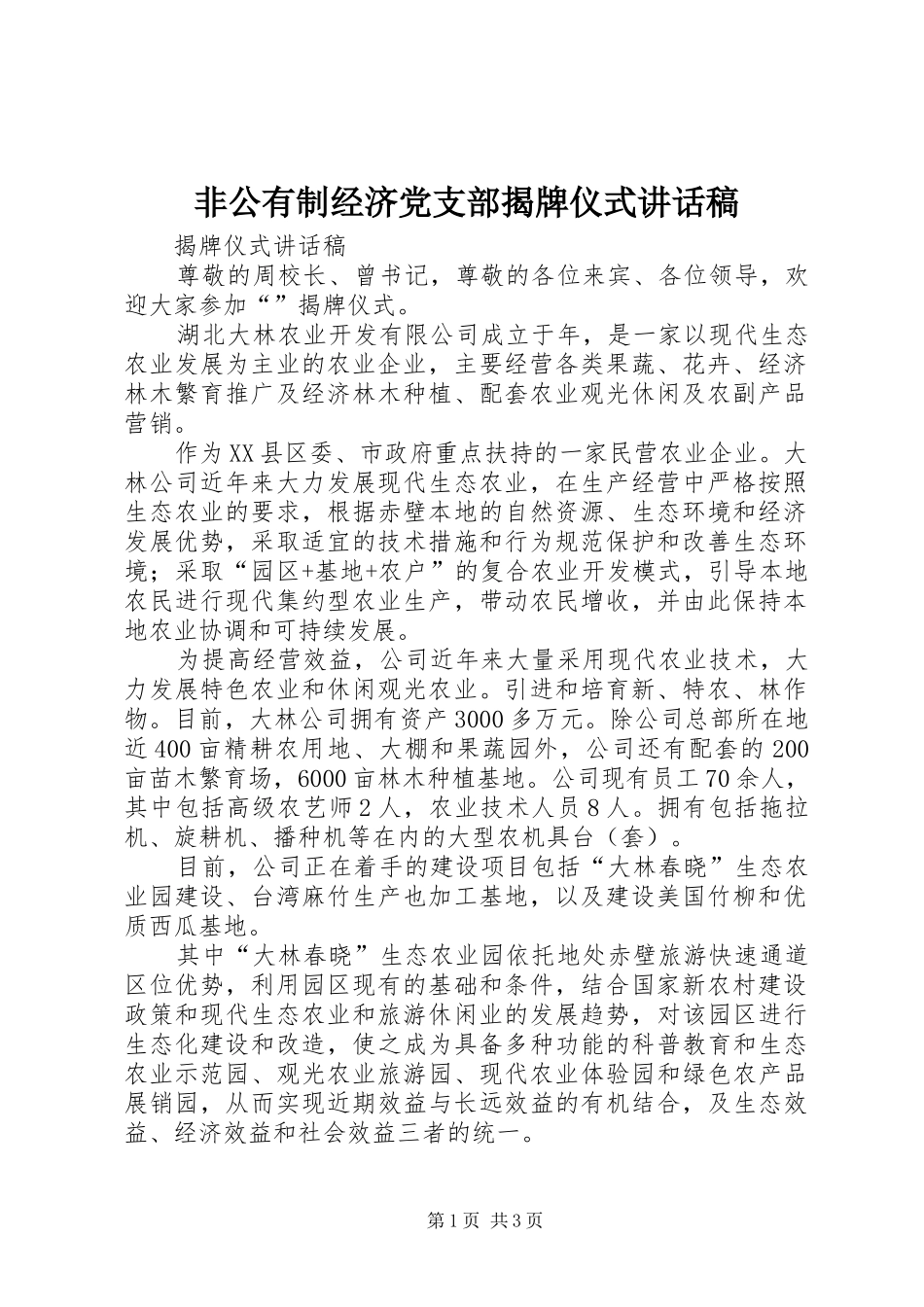 非公有制经济党支部揭牌仪式讲话稿_第1页