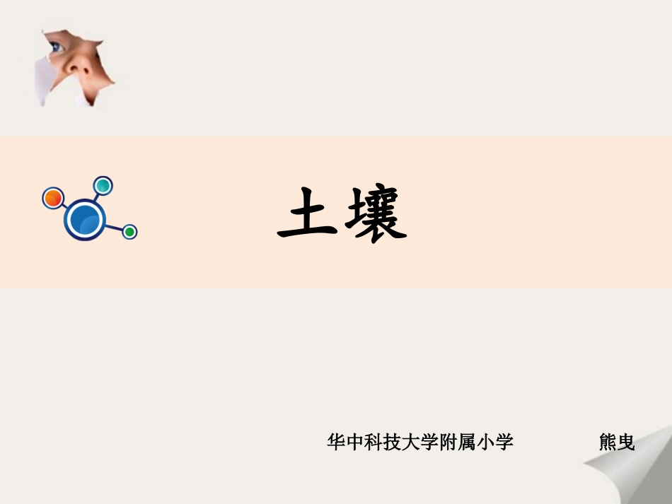 《土壤——动植物的乐园》教学课件_第3页