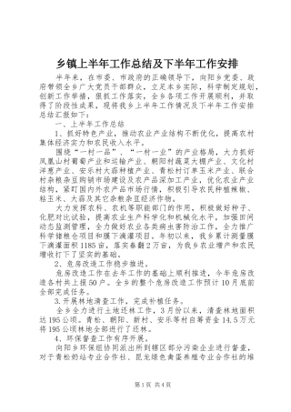 乡镇上半年工作总结及下半年工作安排