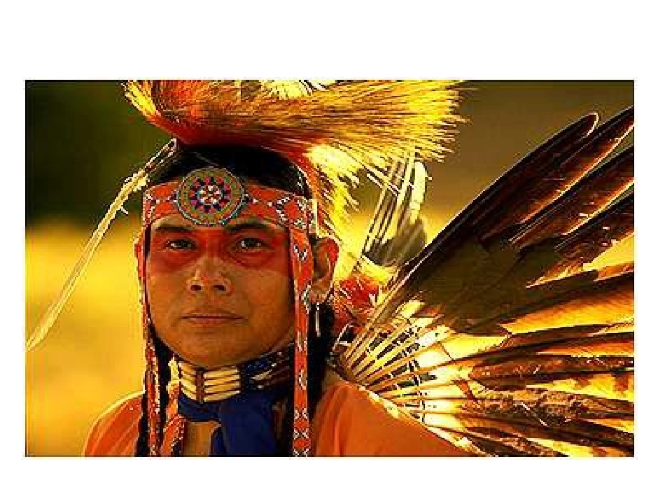 《这片土地是神圣的》ppt课件_第2页