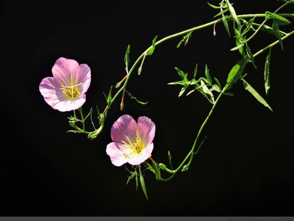 《纸品乐陶陶》公开课课件_第3页