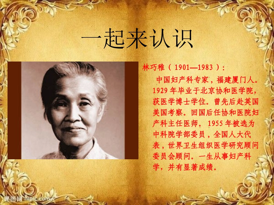 《树叶都是绿色的吗》ppt课件_第2页