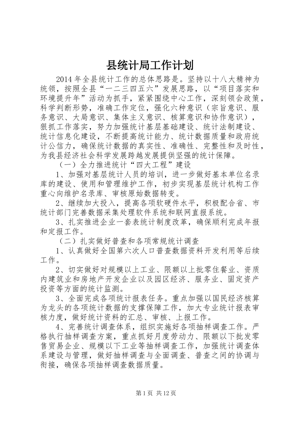 县统计局工作计划_第1页