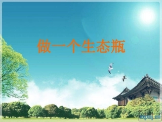 1.6《做一个生态瓶》PPT课件