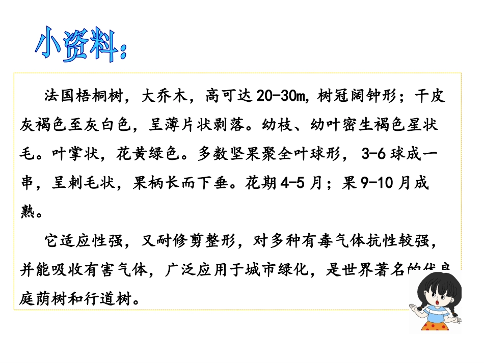 5.铺满金色巴掌的水泥道课件_第2页