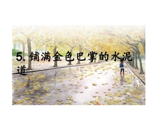 5.铺满金色巴掌的水泥道课件