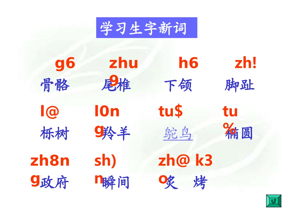 《黄河象》课堂演示课件_第3页