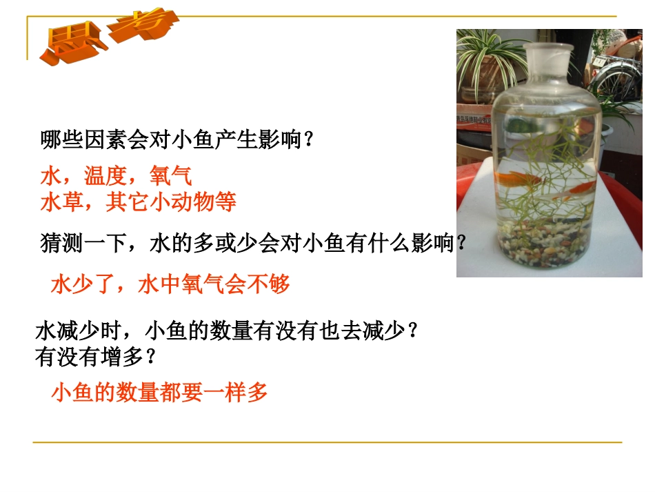 1.7《改变生态瓶》课件_第2页