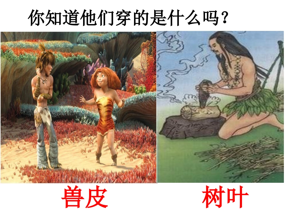 4.3苏教版小学三年级科学纺织材料优秀课件_第2页