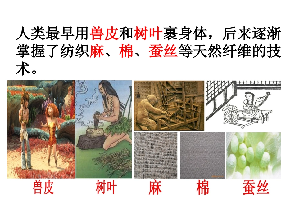 4.3苏教版小学三年级科学纺织材料优秀课件_第3页