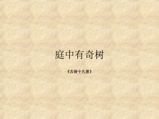 《庭中有奇树》《龟虽寿》《赠从弟》《梁甫行》