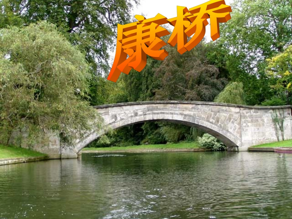 《再别康桥》最新优秀课件_第3页