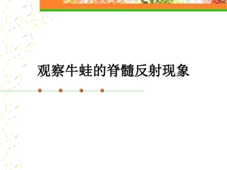 3 实验5.1观察牛蛙的脊髓反射现象