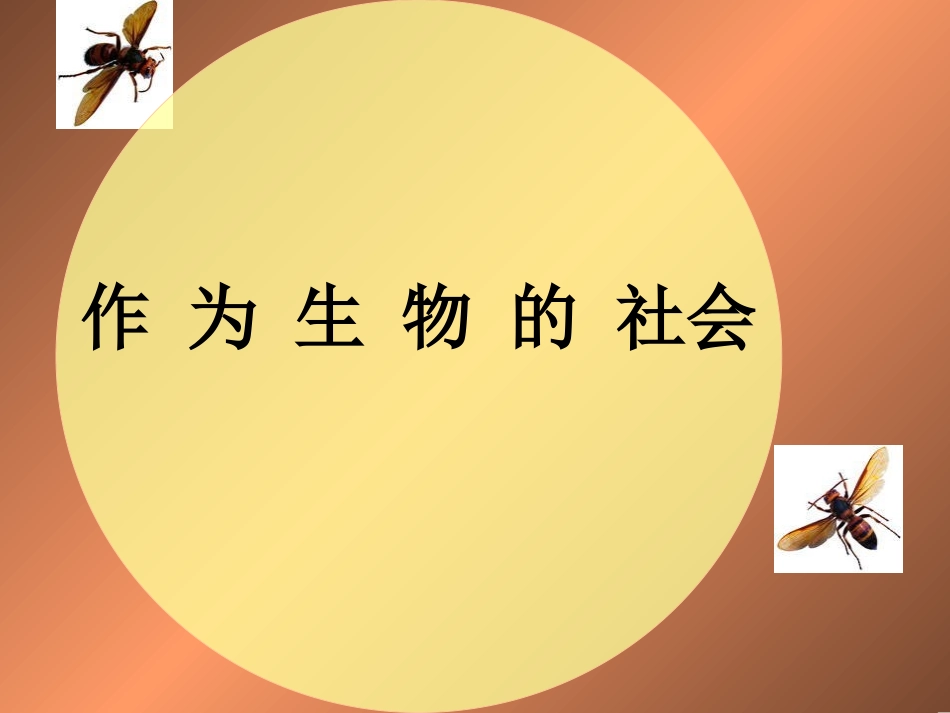 《作为生物的社会》优秀课件_第1页