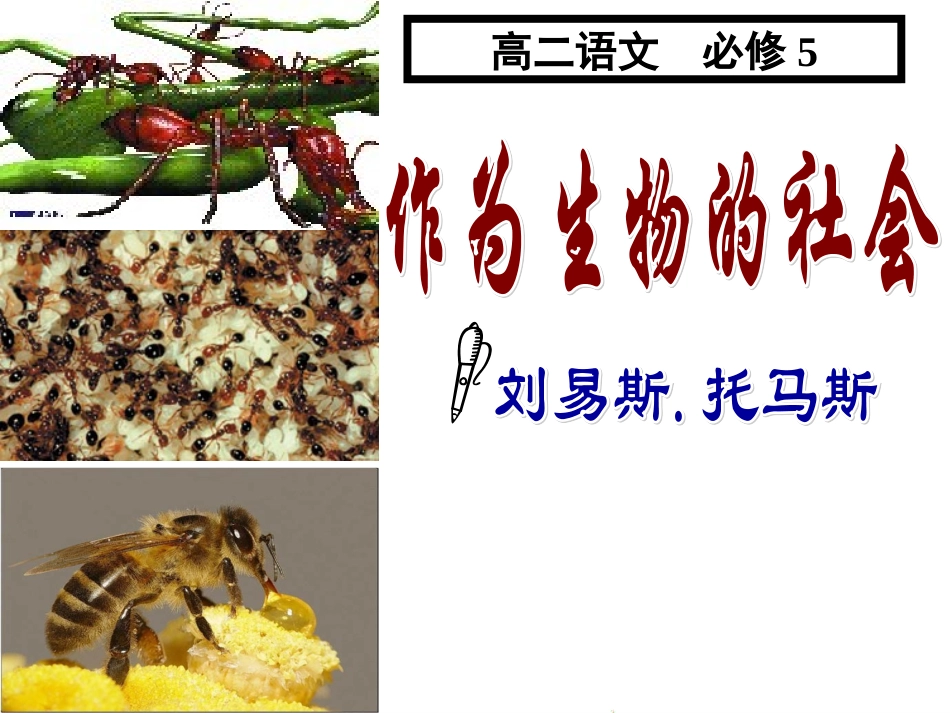 《作为生物的社会》优秀课件_第2页