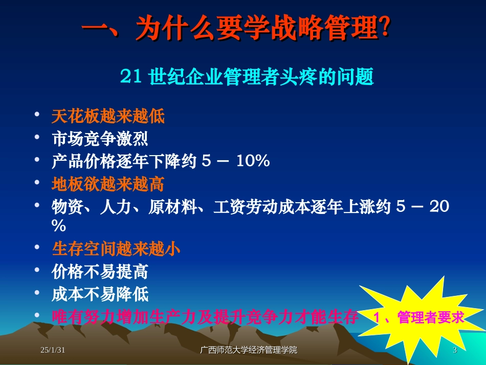 《企业战略管理》课件1_第3页