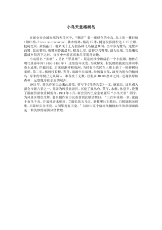 小鸟天堂榕树岛