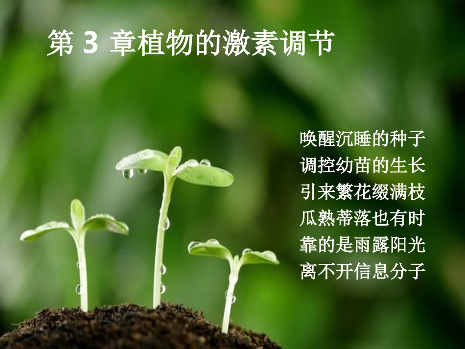 2016植物生长素的发现ppt_第1页