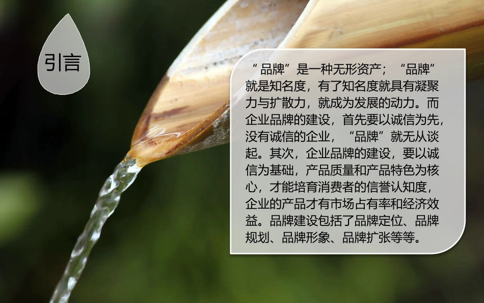 2015品牌建设方案_第2页