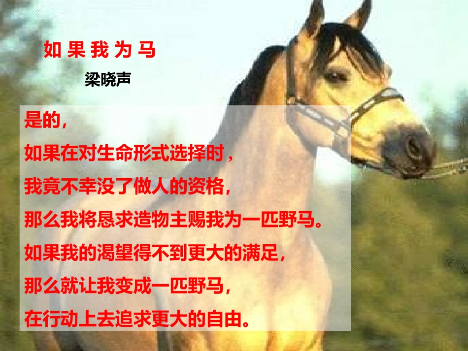 《马》PPT课件_第2页