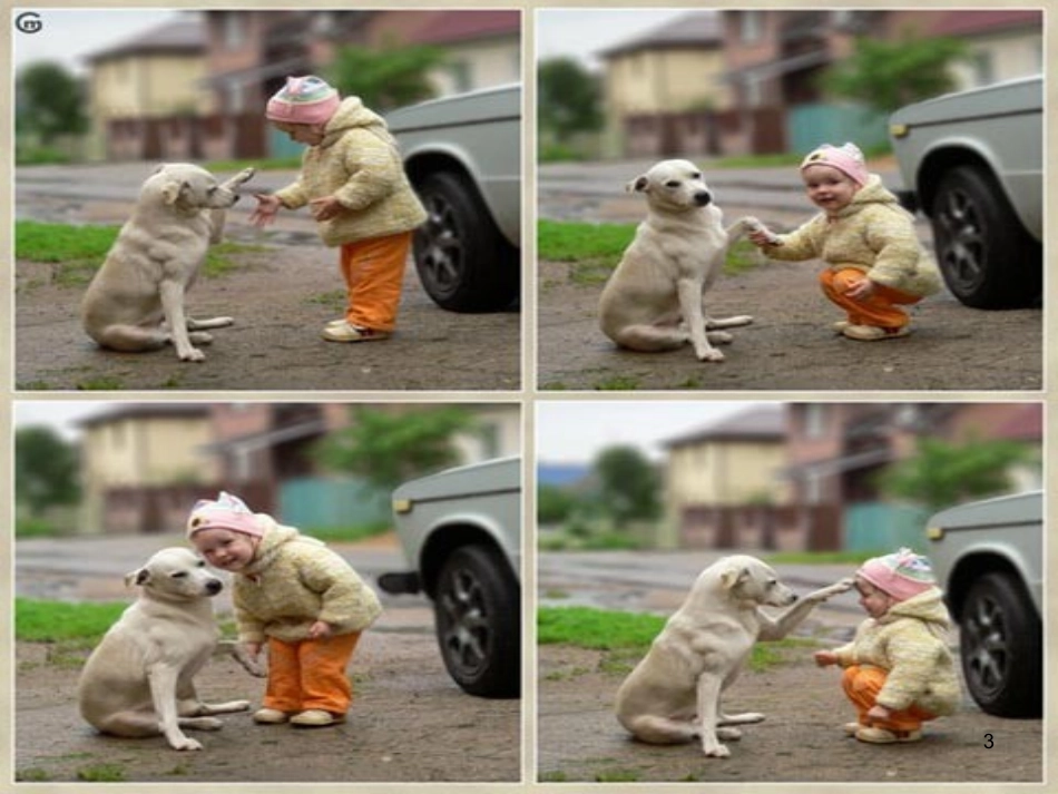 15 搭船的鸟1_第3页