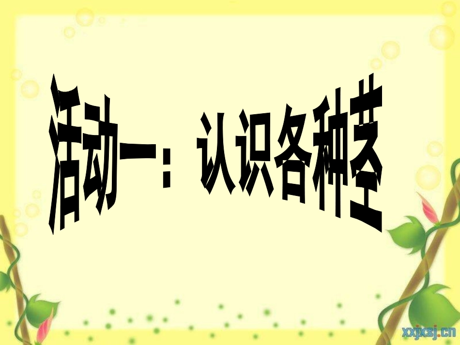 4、植物的茎_第2页