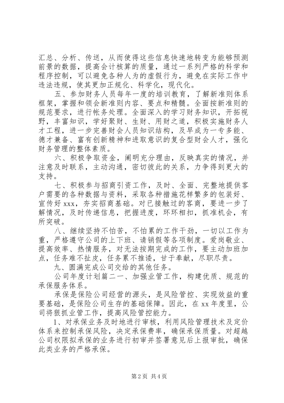 公司年度计划方案_第2页