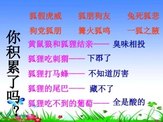 《金色的脚印》PPT课件