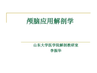 1 颅脑应用解剖学
