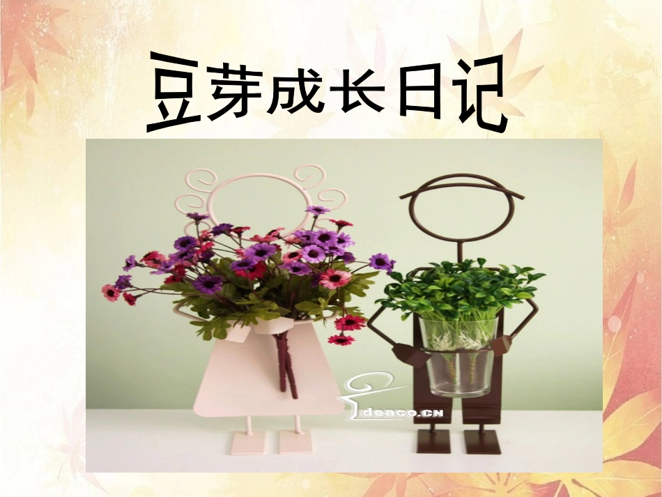 《泡绿豆》观察日记作业_第2页