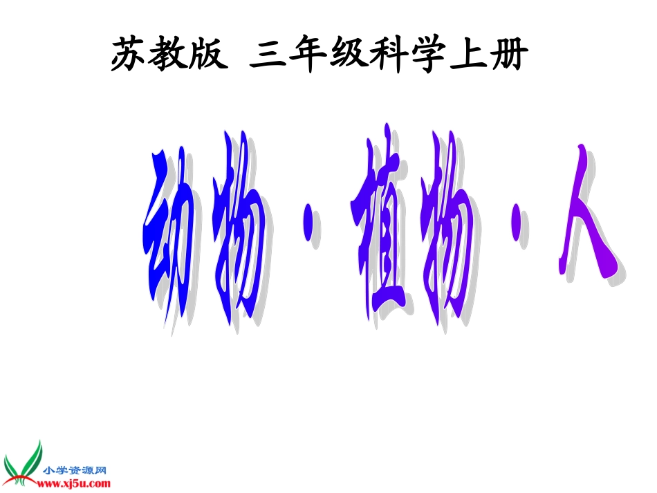 《动物植物人》_第1页