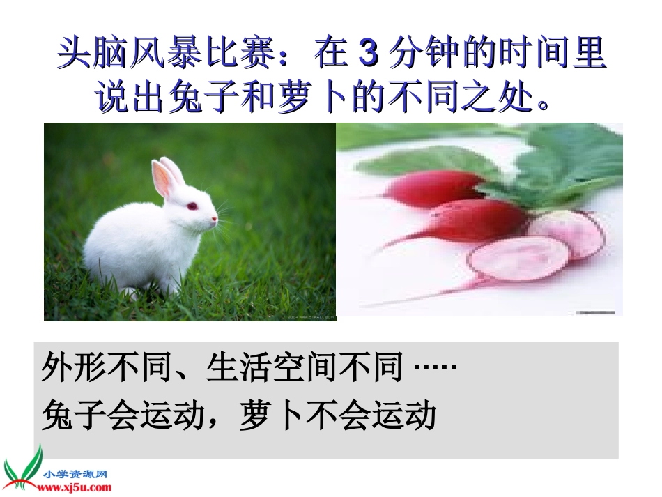 《动物植物人》_第2页