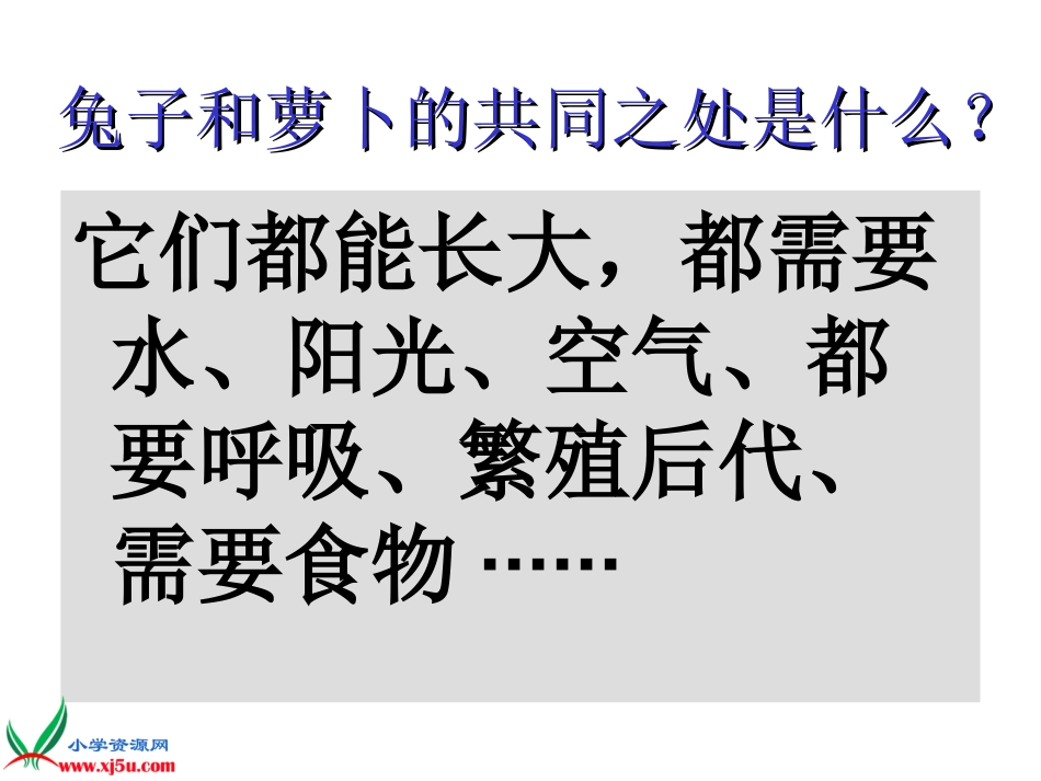 《动物植物人》_第3页